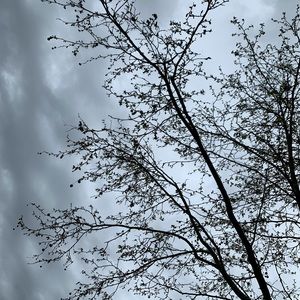 Meet your Posher, Daniella